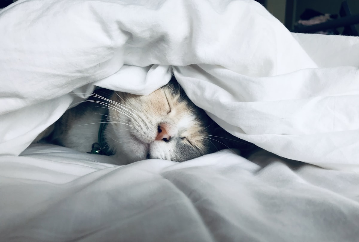Femme qui dort paisiblement — GUIIN